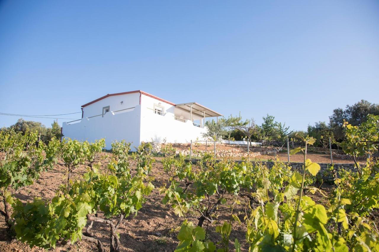Eden'S Garden Skouloufia Villa Exterior photo