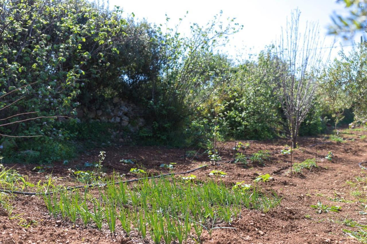 Eden'S Garden Skouloufia Villa Exterior photo